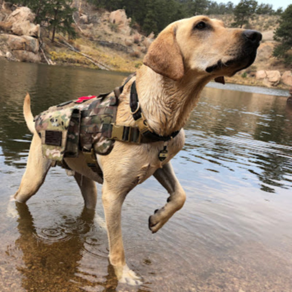 Meet your Posher, Janet - Picture 1 of 1